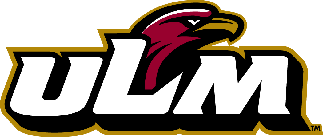 Louisiana-Monroe Warhawks 2006-Pres Primary Logo iron on transfers for clothing